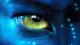 Avatar de djamel0775