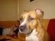 Avatar de franck02130