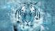 Avatar de yesyes85