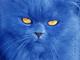 Avatar de yippeekaye