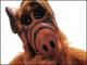 Avatar de ketchup