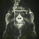 Avatar de caribz38