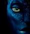 Avatar de Matoux