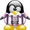 Avatar de tefece1