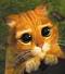 Avatar de Bouaz89