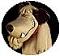 Avatar de tony_hack
