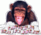 Avatar de rafcorp2000