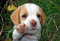 Avatar de bobo82