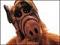 Avatar de ketchup